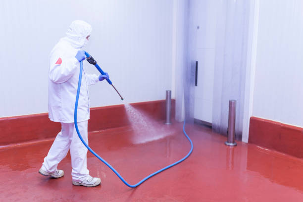Trusted Paulden, AZ Pressure Washing Experts